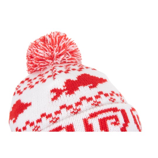 Bonnet de Noël à pompon Fox Rage