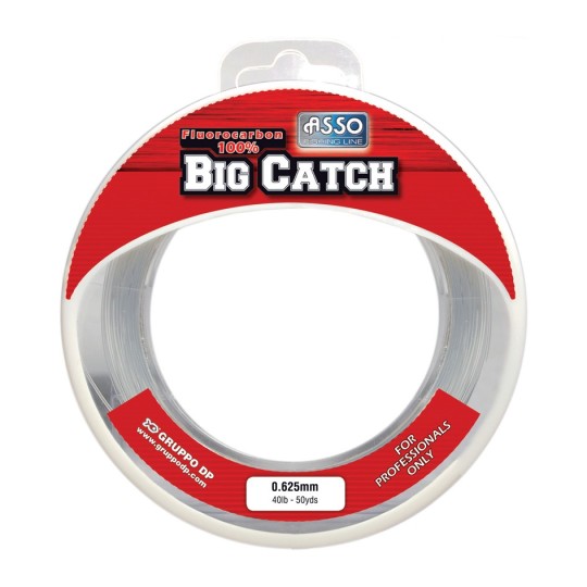 Fluorocarbon Asso Big Catch 45m - Widerstand und Diskretion