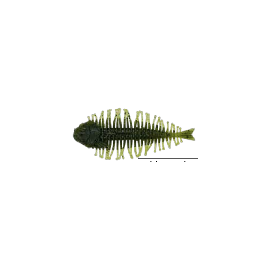 Leurre Souple DStyle Geelacanth 4" - 10cm