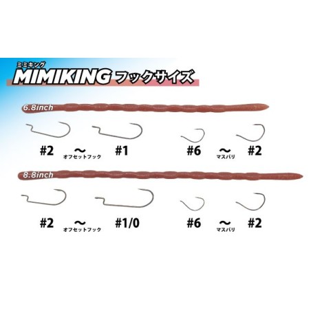 Leurre Souple DSTYLE Mimi King 8.8" | Worm Imitation de Ver de Terre