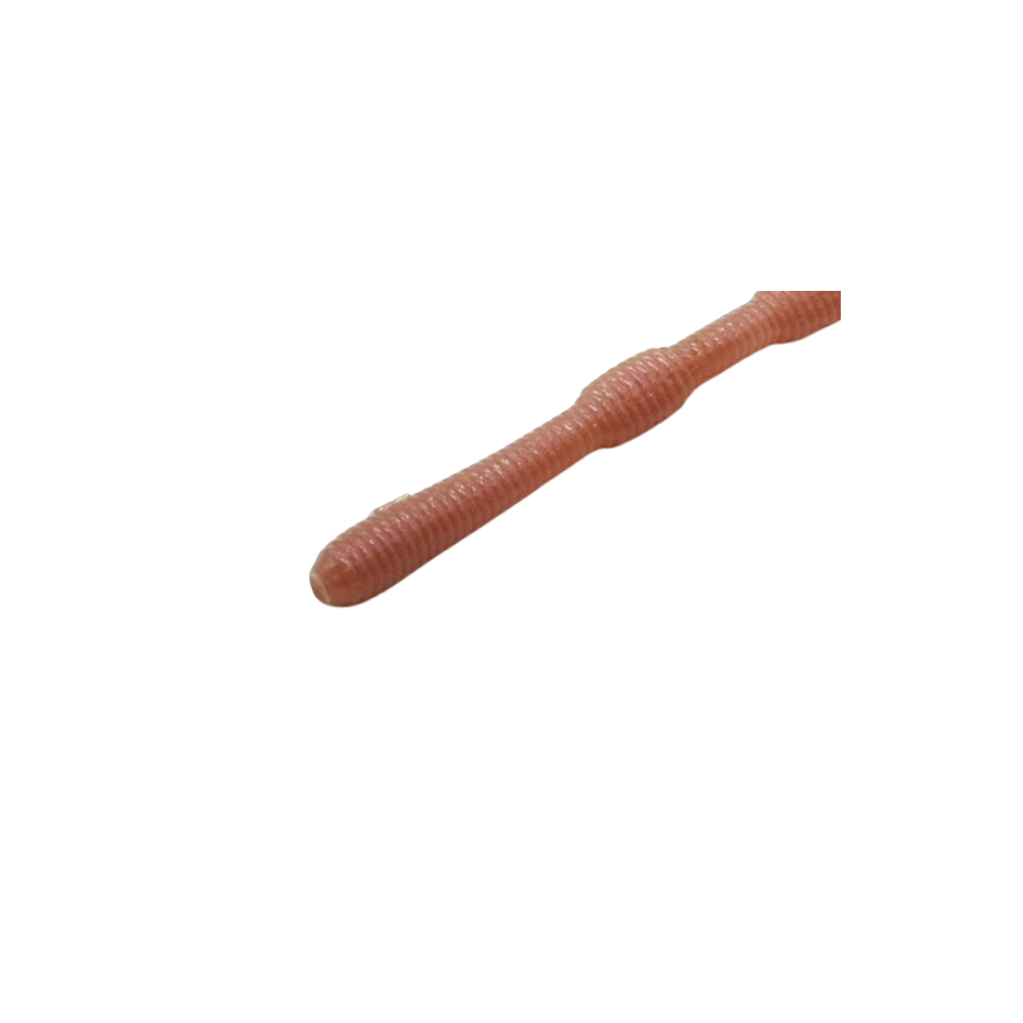 Leurre Souple DStyle Mimi King 8,8" - 22,3cm
