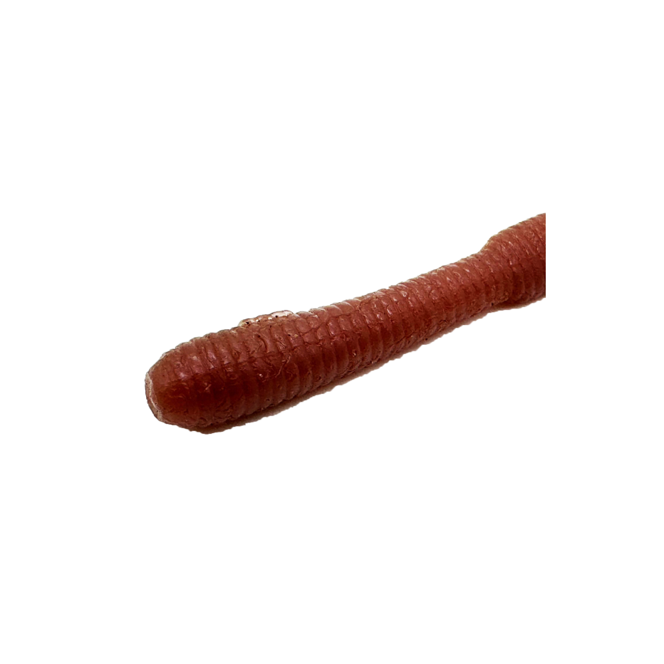 Leurre Souple DStyle Mimi King 8,8" - 22,3cm