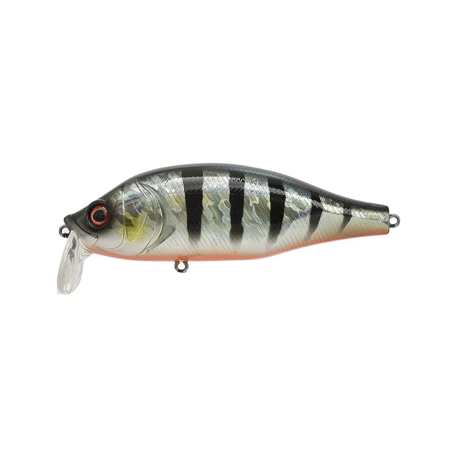 Poisson Nageur Xorus Dango 120 SR