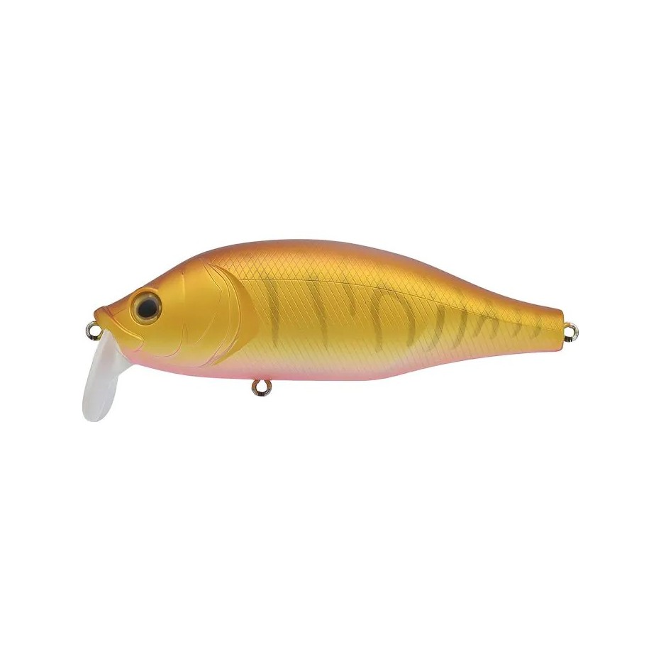Poisson Nageur Xorus Dango 120 SR