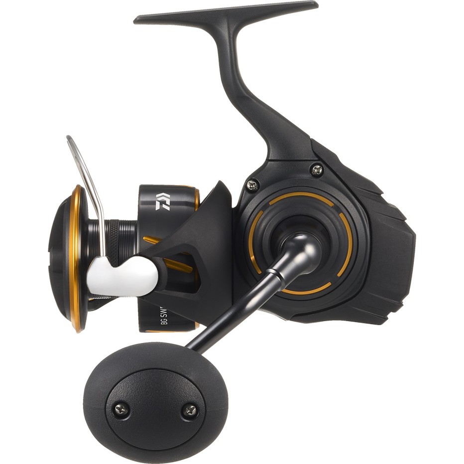 Spinnrollen Daiwa BG LT 27 - Starke Fischerei