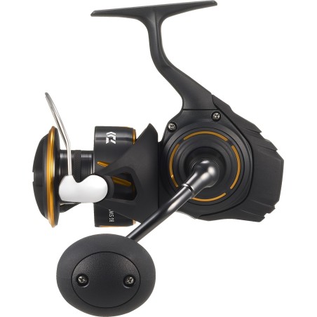 Spinnrollen Daiwa BG LT 27 - Starke Fischerei
