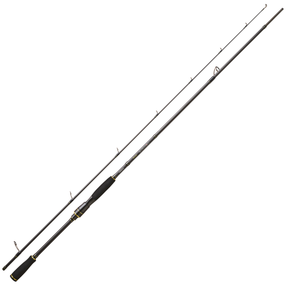 Spinning Rod Daiwa Team Daiwa 27| Fresh water