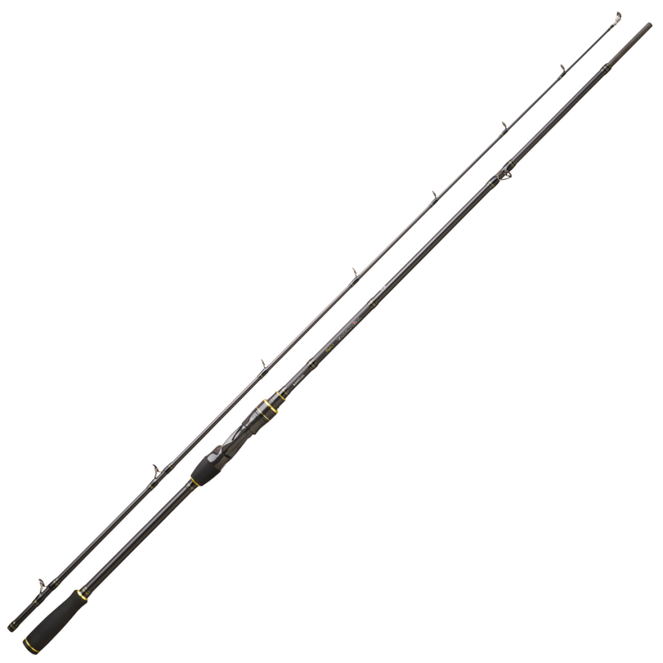 Canne Casting Daiwa Team Daiwa 27 - Brochet