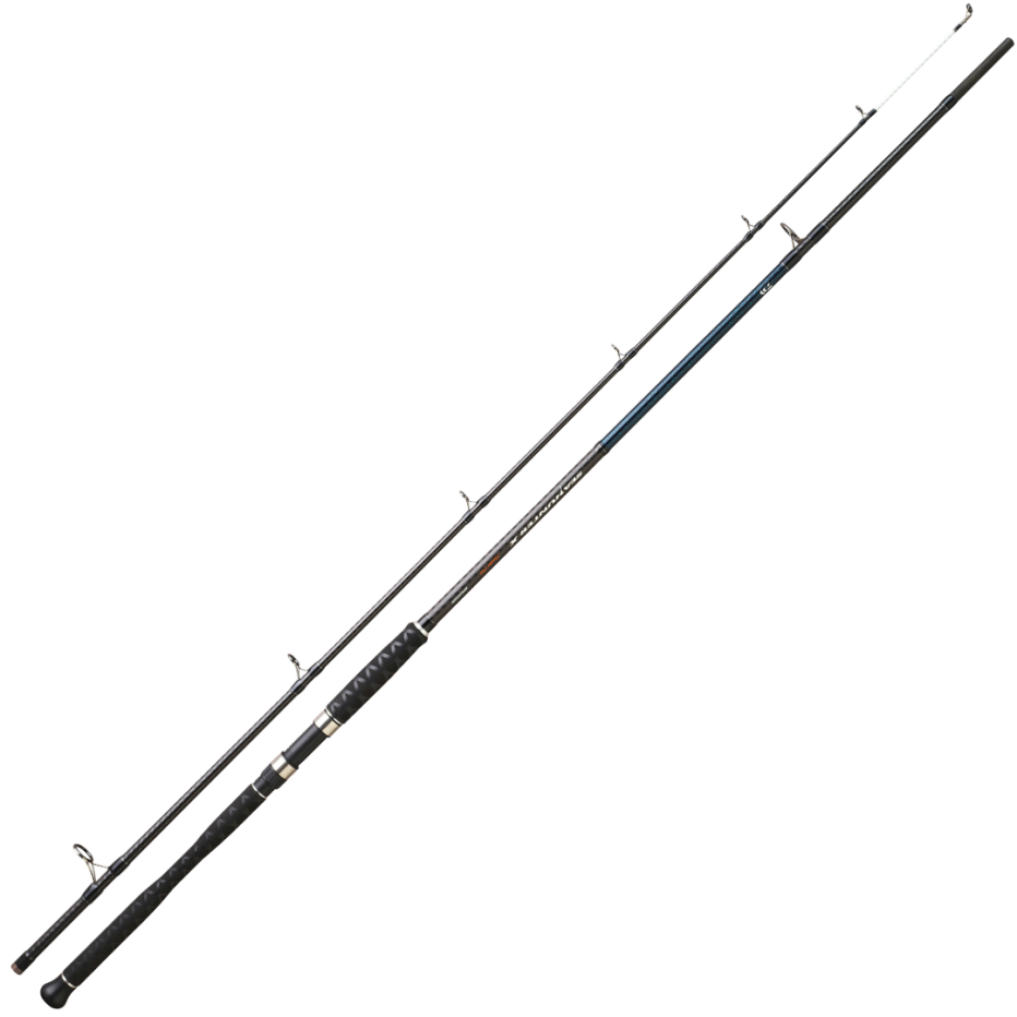 Canne Spinning Daiwa SeaHunter X | Gros carnassiers marins