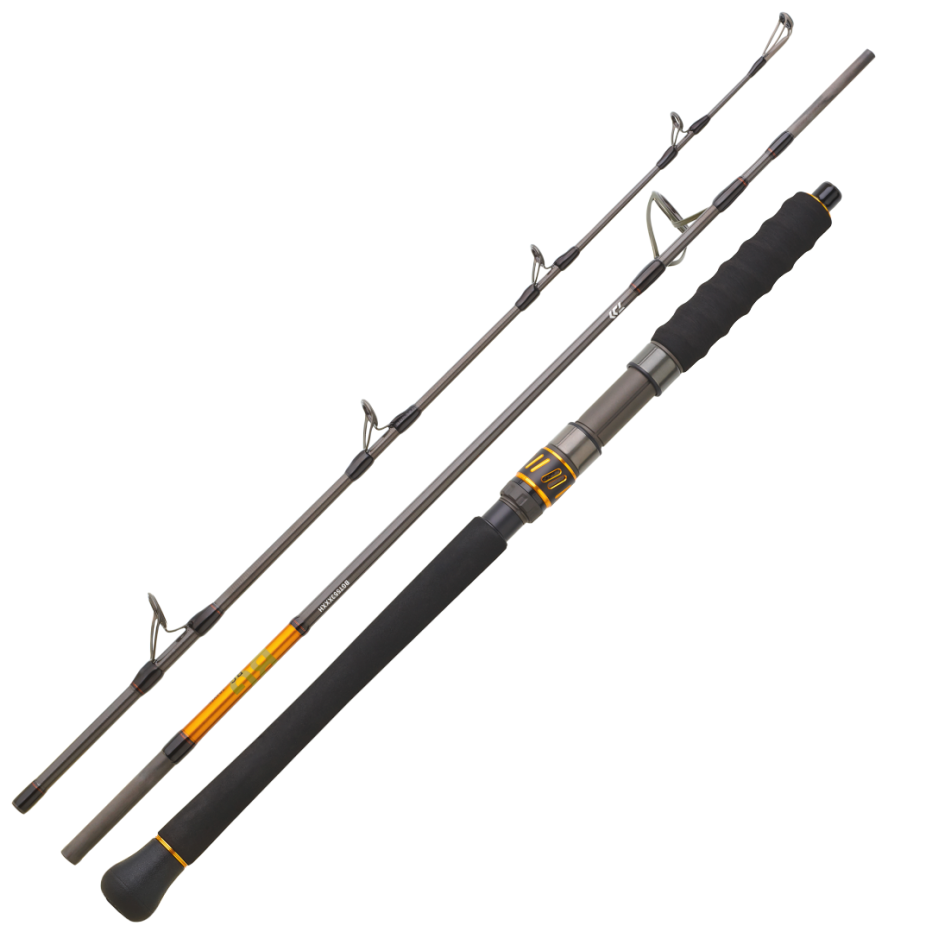 Spinning Rod Daiwa BG Travel - Travel