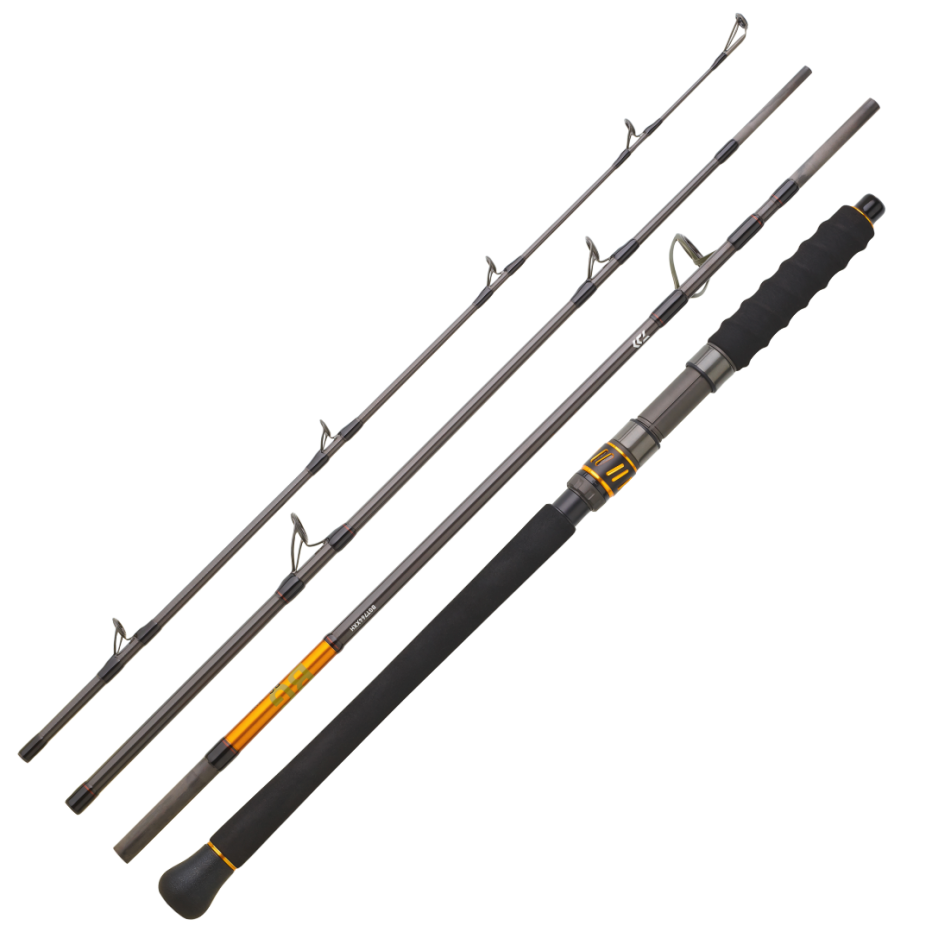 Canne Spinning Daiwa BG Travel