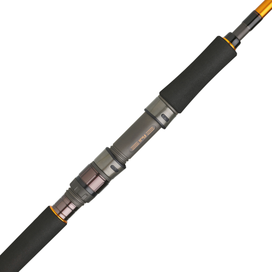 Caña Daiwa BG Jigging | Jigging de mar y pesca vertical
