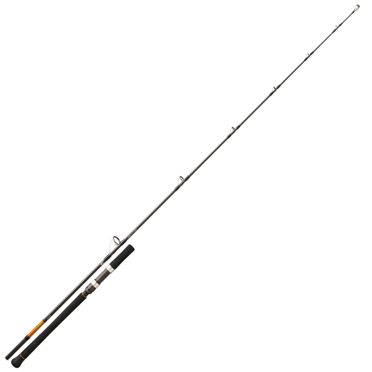 Canne Spinning Daiwa BG Off Shore 27 - Thon