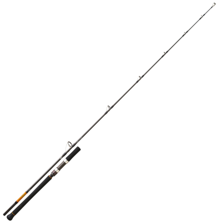 Spinning Rod Daiwa BG Off Shore 27 - Tuna