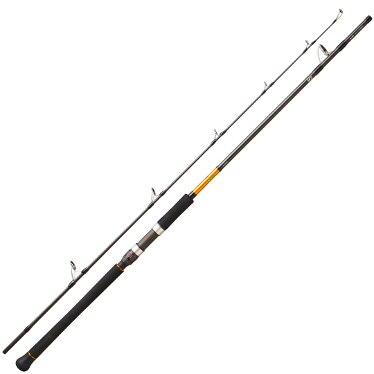 Spinnruten Daiwa BG Off Shore 27 - Thunfisch