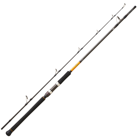 Canne Spinning Daiwa BG Off Shore 27 - Thon