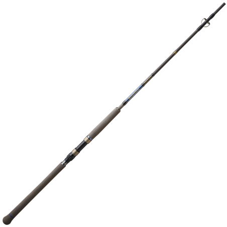 Spinnruten Sakura Shukan Spin 3.0 Tuna | Thun