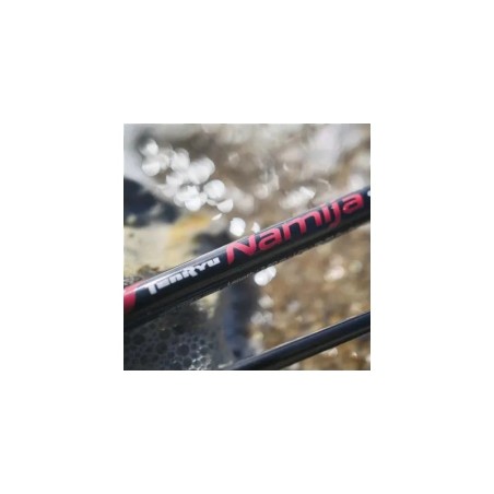 Caña spinning Tenryu Namija 900 M