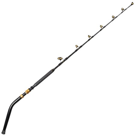 Angelruten Explorer Tackle Black Curve Trolling