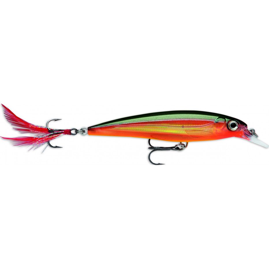 Leurre Rapala X-Rap 10cm