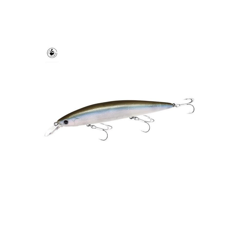 Lure Lucky Craft ESG Surf Pointer 115 MR