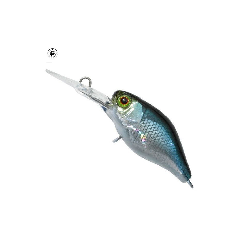 Lure Illex Diving Chubby 38