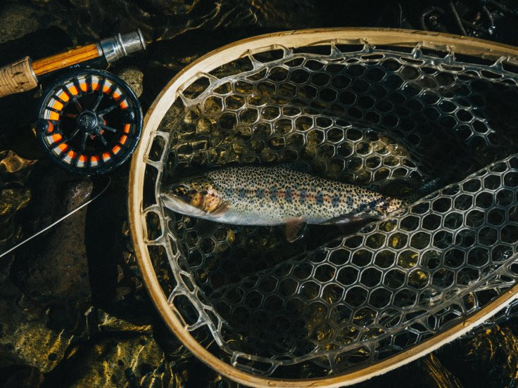 Illustration of the article Must-have equipment for beginner fly fishing