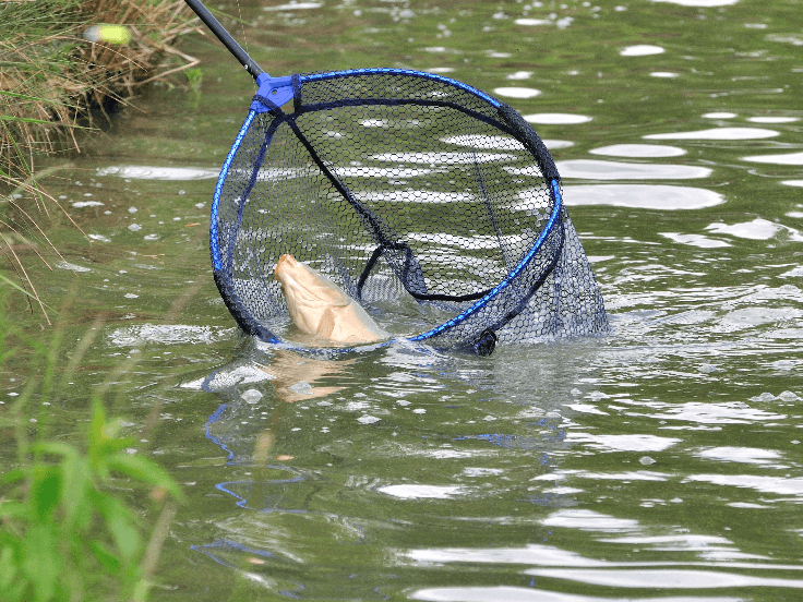 Fishing Accessories Rubber Fishing Nets Catch Fish Net Head