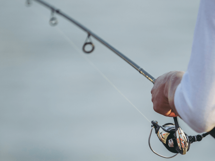 Illustration of the article Quel fluorocarbone pour le bar ?