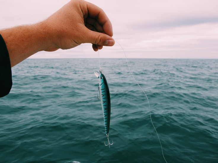 Pêche aux leurres en mer : quelles puissances et longueurs de