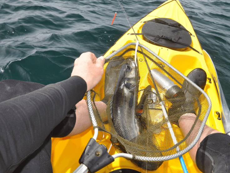 attacher vos épuisettes pour la pêche en bateau