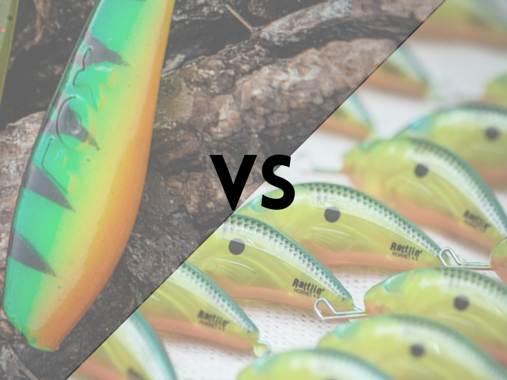 poisson nageur et leurre souple