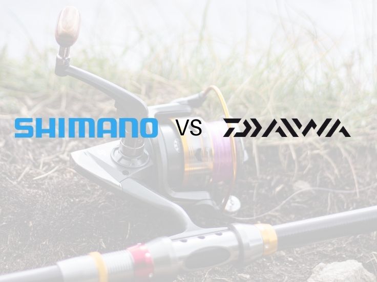 moulinet daiwa ou shimano