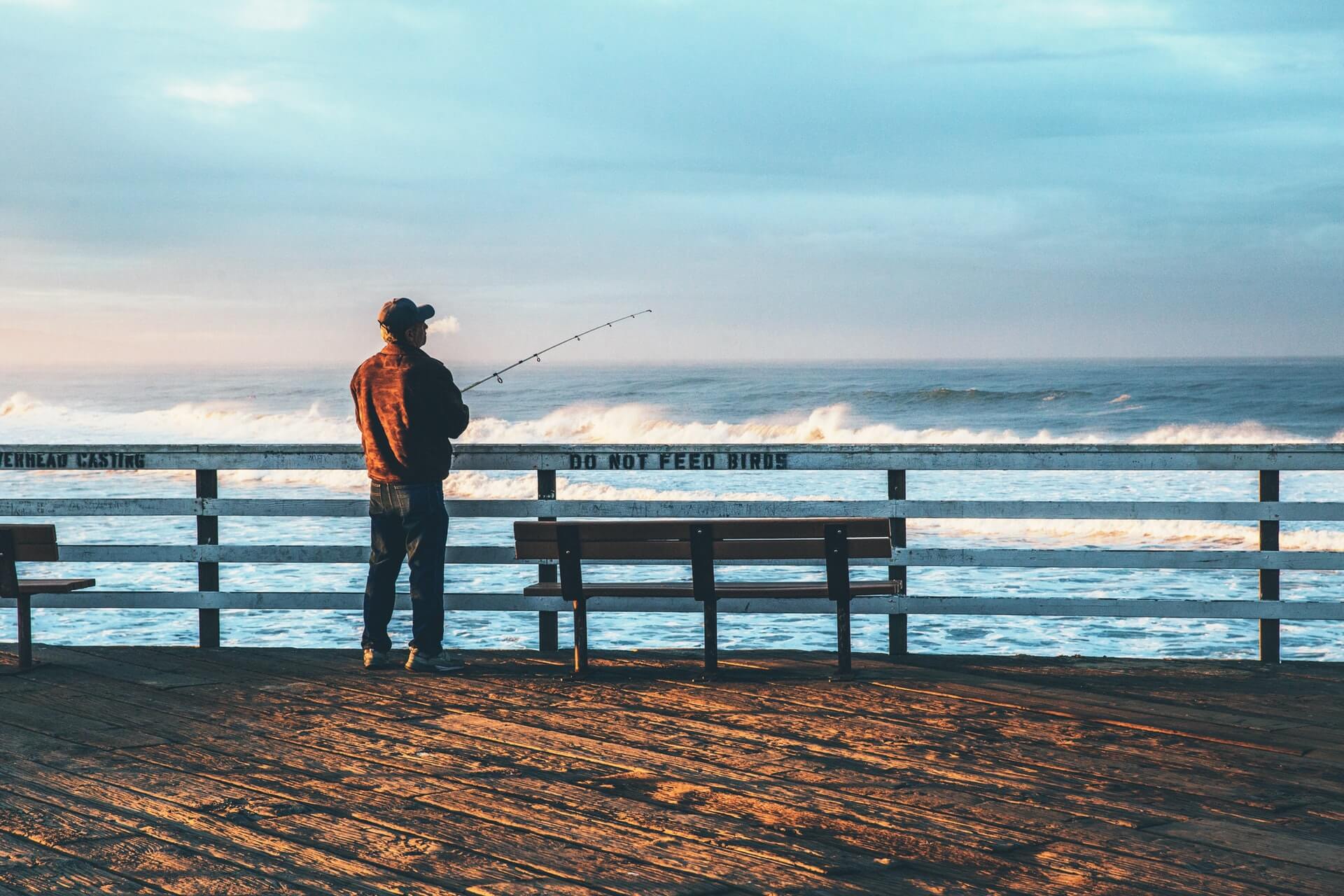 appat pêche en mer