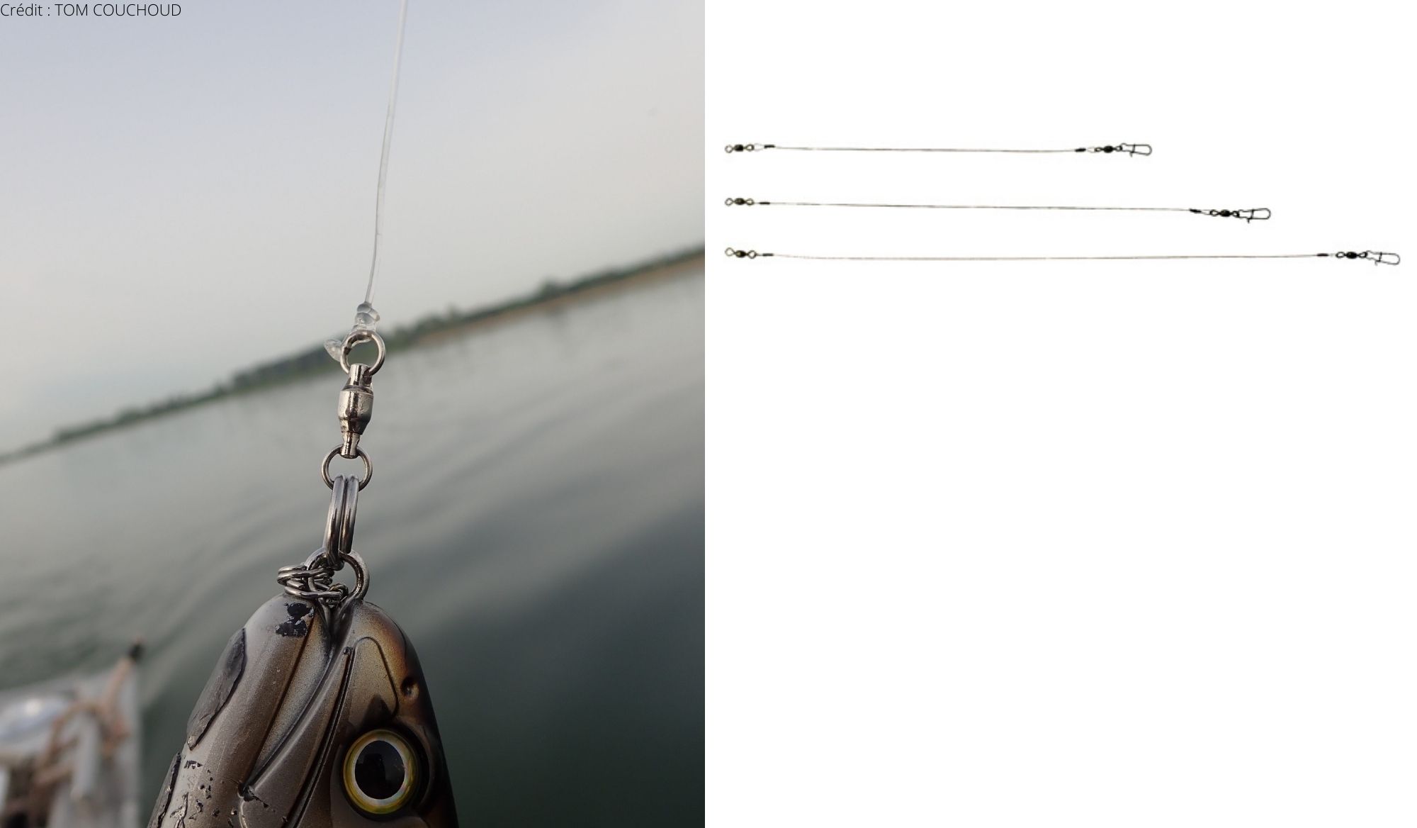 exemple de bas de ligne pour la pêche