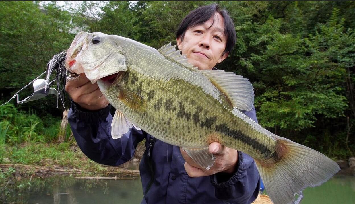 pêcher avec un buzzbait