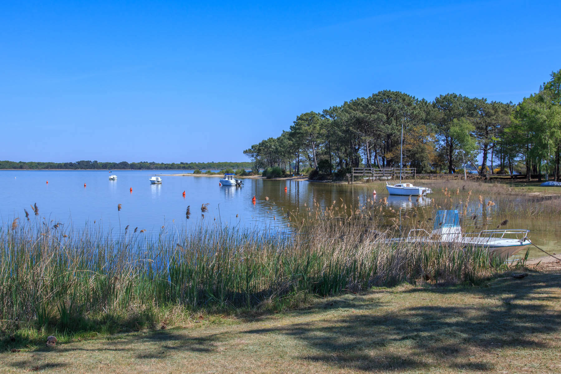 domaine public pêche