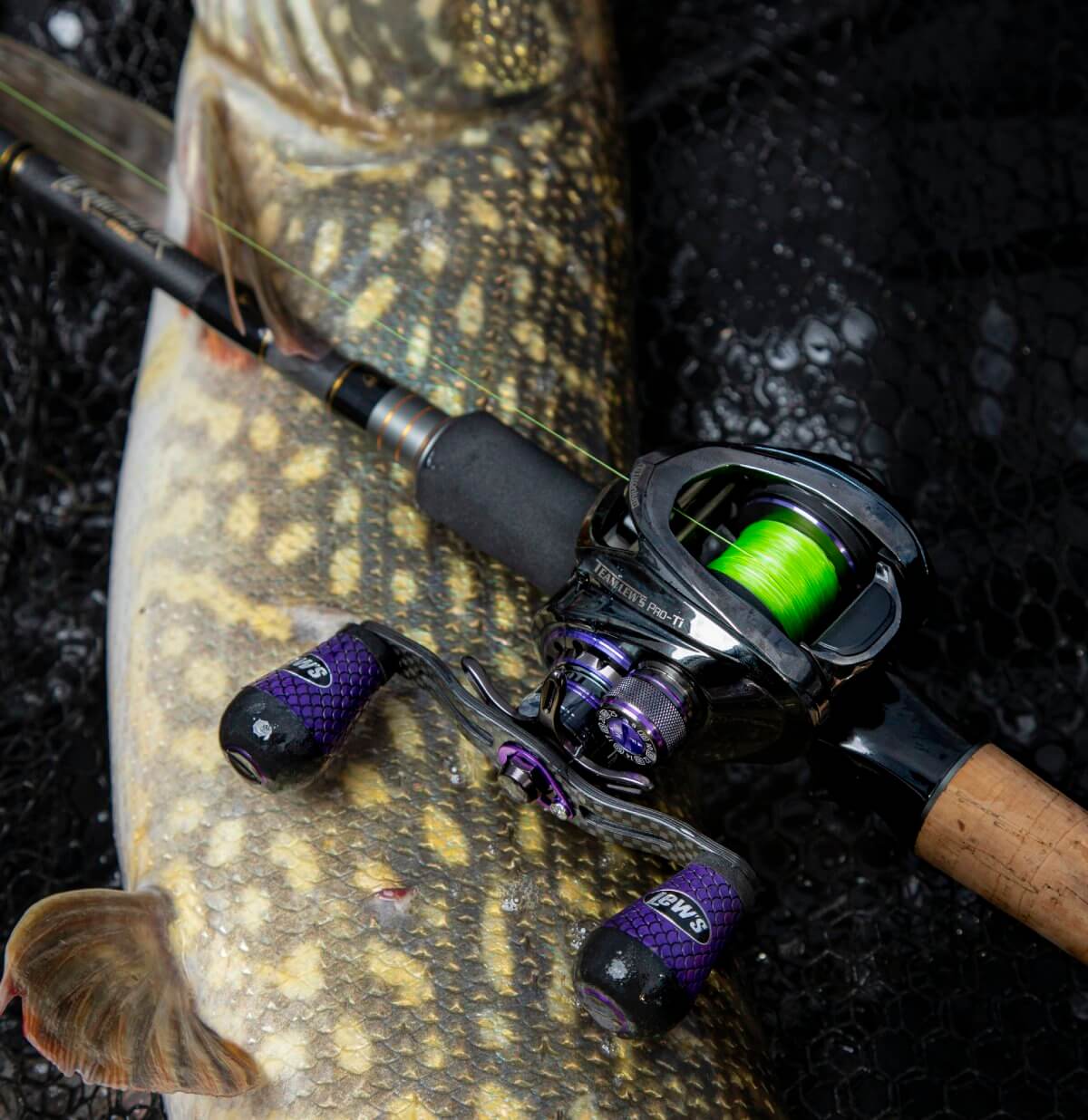 fil de pêche pour carnassier