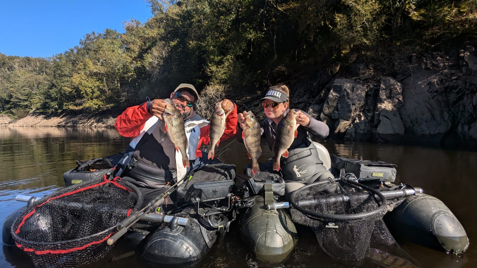Perches pêchées en float tube en lac de barrage.