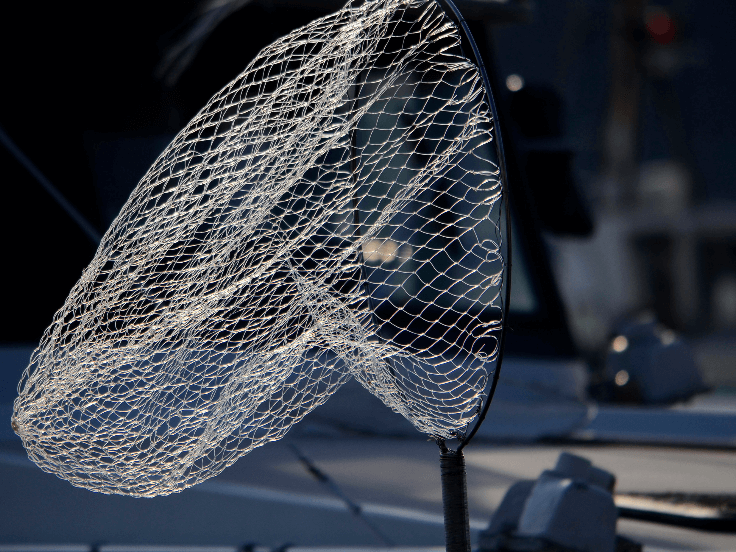 exemple d'une bonne utilisation de l'épuisette