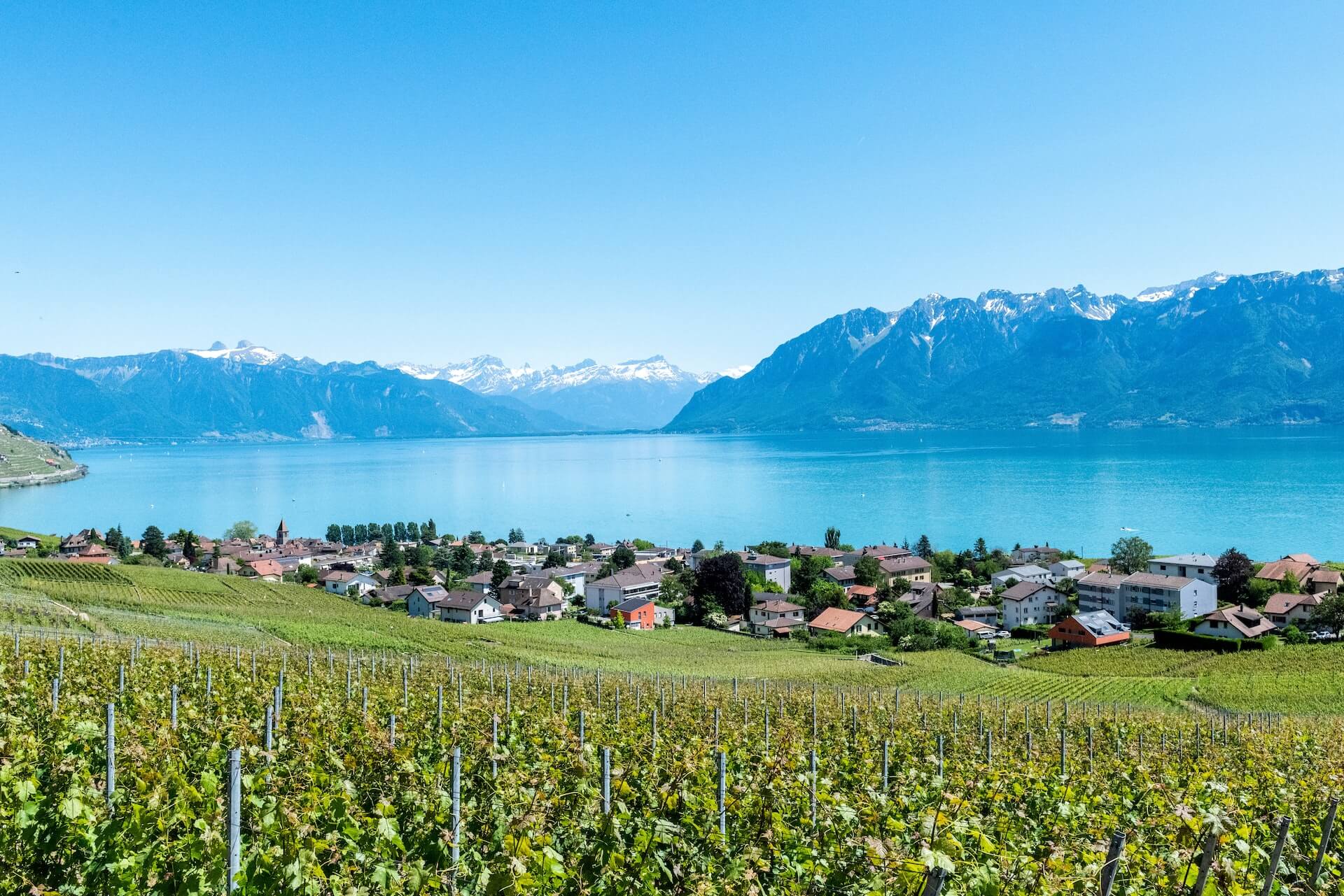 lac leman pour la pêche à la cuillère