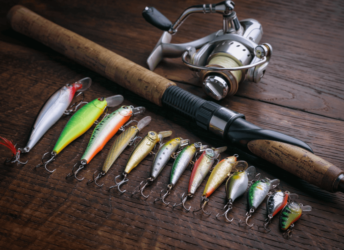 a palette of swimbaits for predator fishing