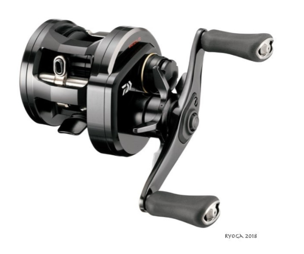 Which casting reel for big bait? - Leurre de la pêche