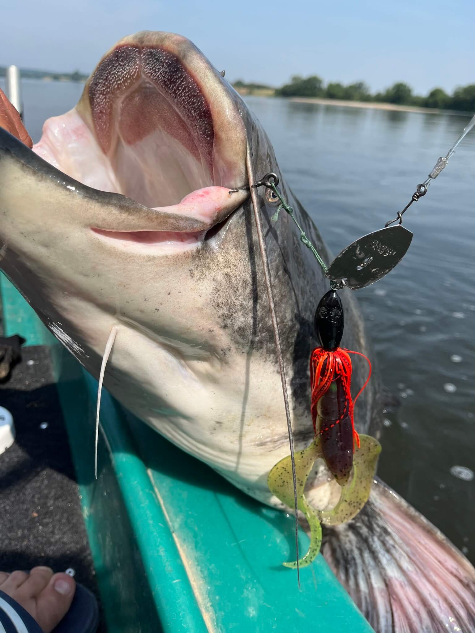 fishing a catfish with a suitable hook