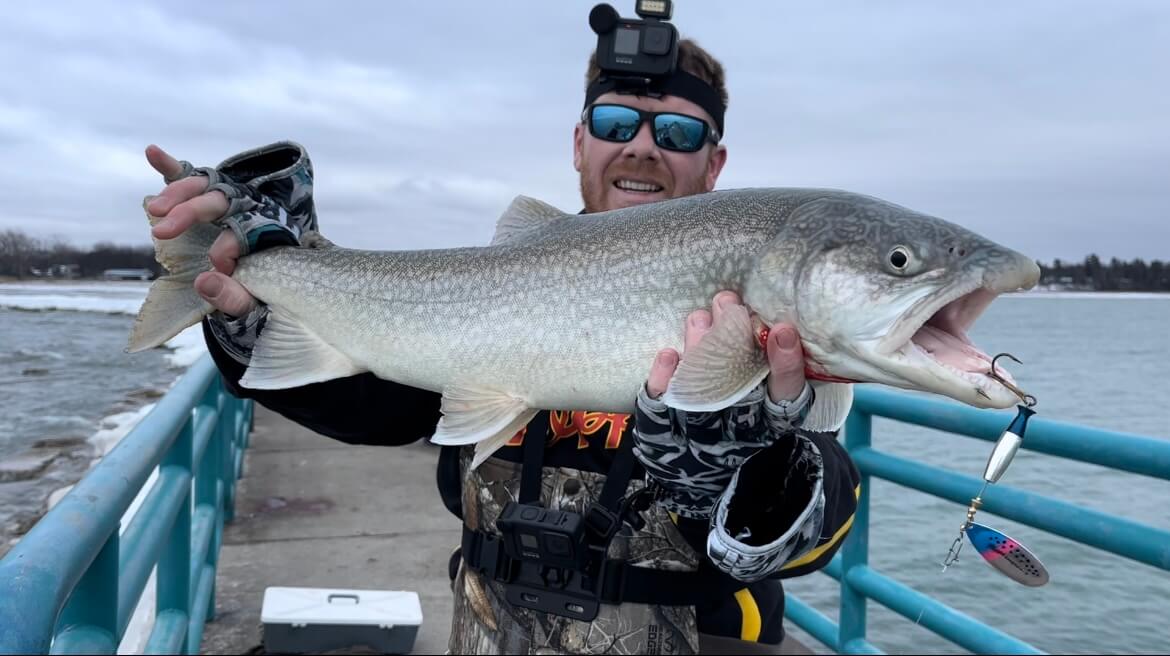 Pêche de la truite au leurre : comment bien choisir sa couleur