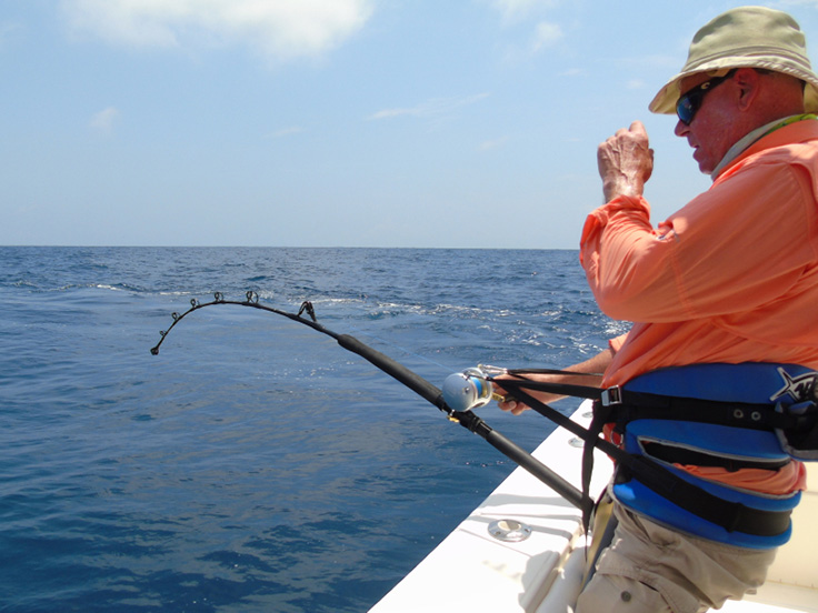 TOP 10 : Cannes à Pêche Daiwa pour le Thon - Leurre de la pêche