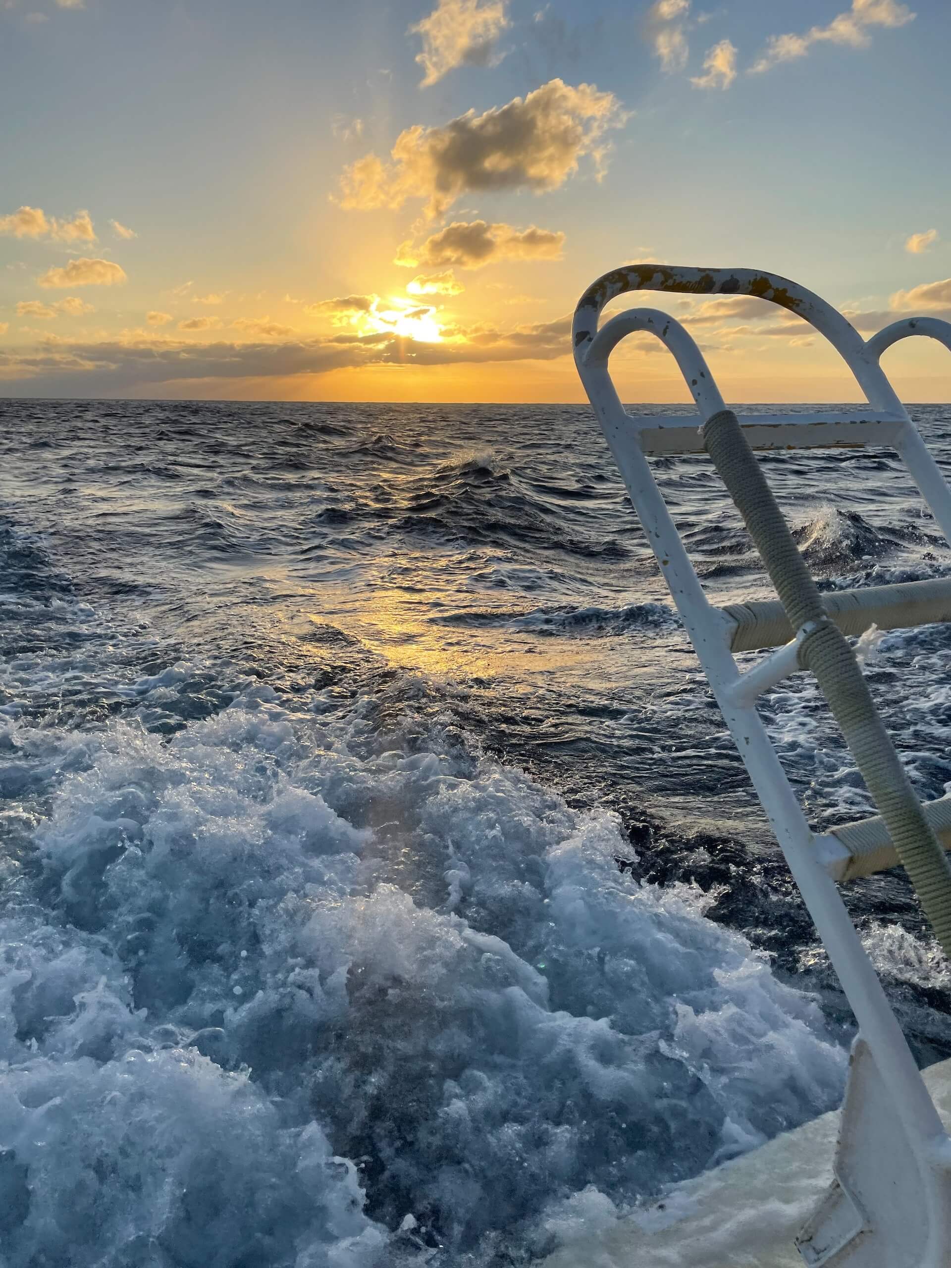 pêche d'un espadon en mer