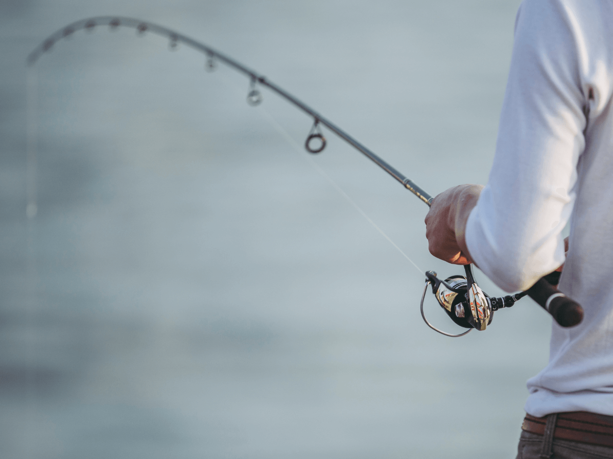 quel fluorocarbone choisir pour la pêche du bar