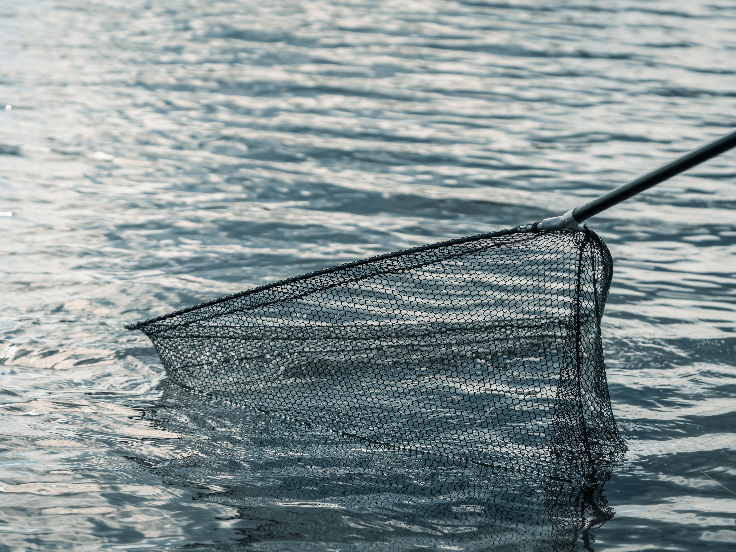une épuisette carnassier pour la pêche