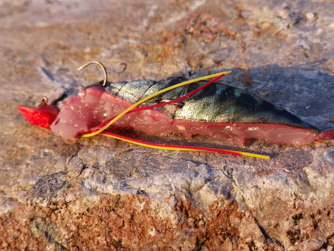 exemple d'un esche de leurre tenya